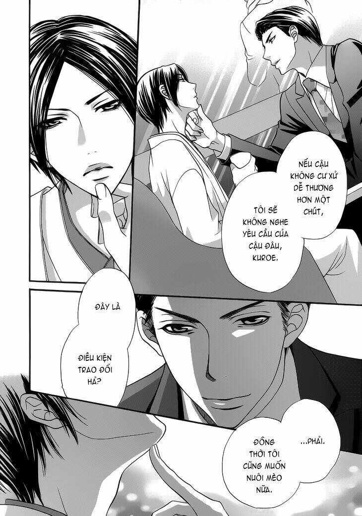 nekoka danshi no shitsukekata chapter 8 21
