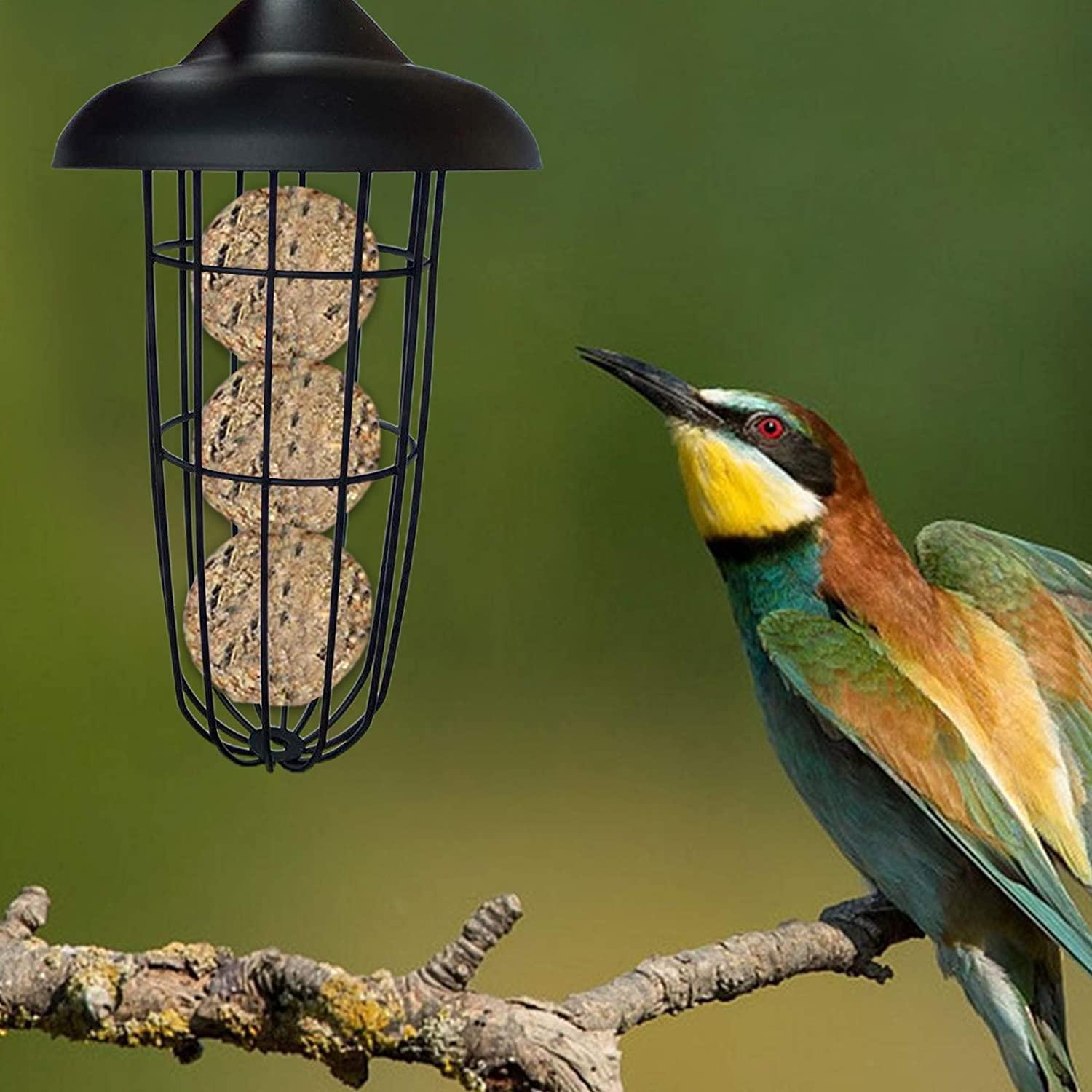 Nụ cười tỏa nắng Treo máng ăn cho chim hoang dã, Dụng cụ đựng thức ăn cho chim, Dụng cụ cho chim ăn, Dụng cụ cho chim ăn, Dụng cụ cho chim treo bóng