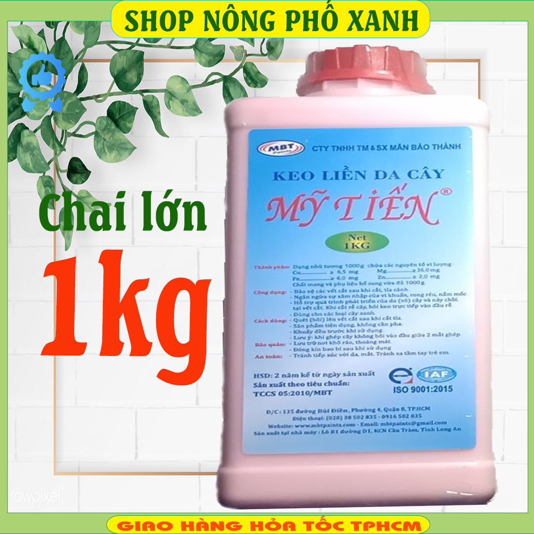 Keo liền sẹo cây, keo liền da cây Mỹ Tiến chai lớn 1kg