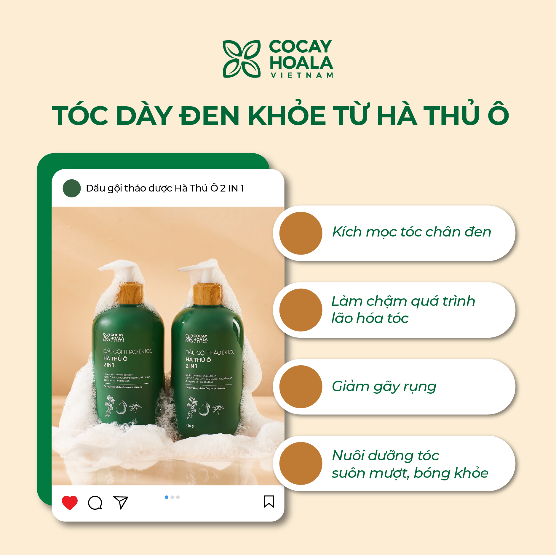 Dầu Gội Xả 2in1 Hà Thủ Ô COCAYHOALA VIETNAM - Dưỡng tóc đen mượt, bóng khỏe, Dung tích 420g/chai