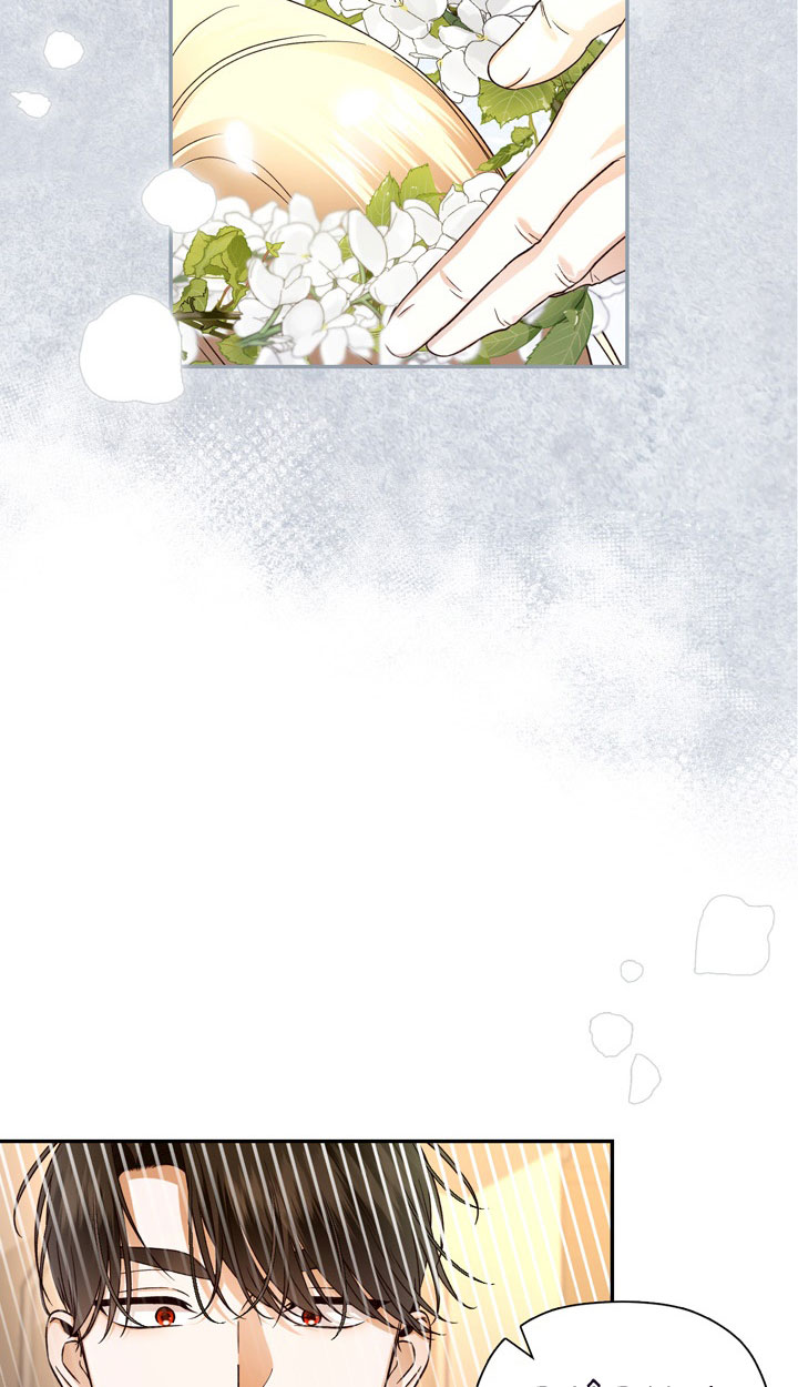 cách che giấu đứa con của hoàng đế chapter 44 66