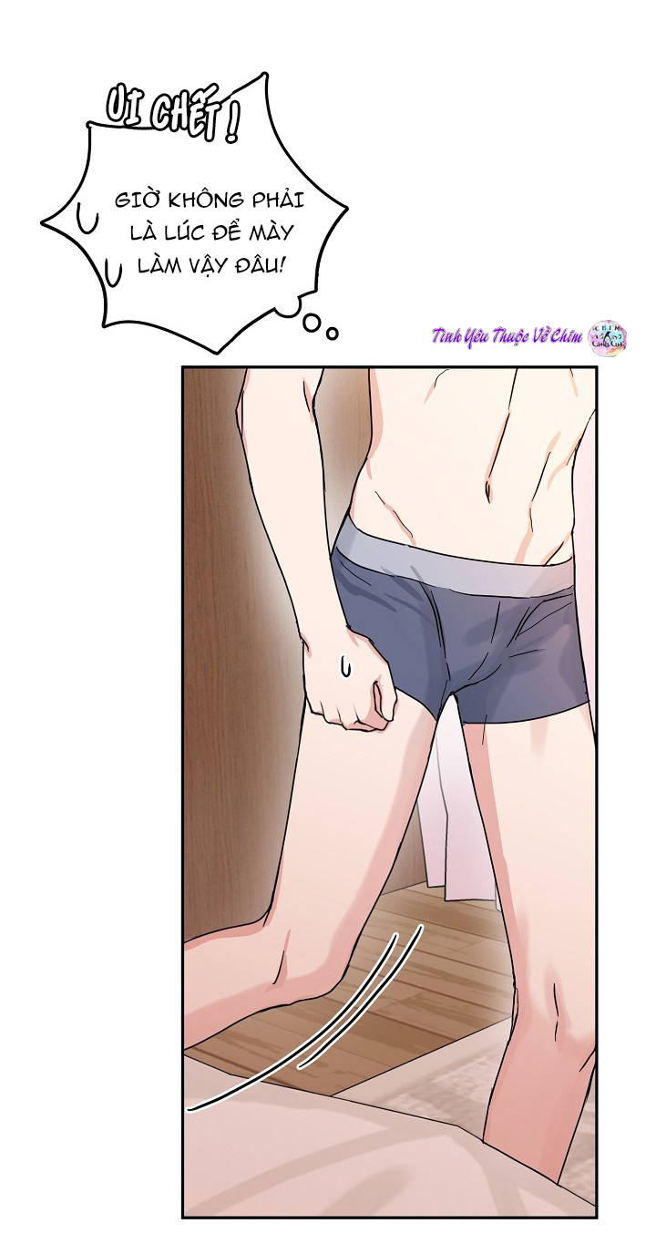 đối tác an toàn chapter 7 17