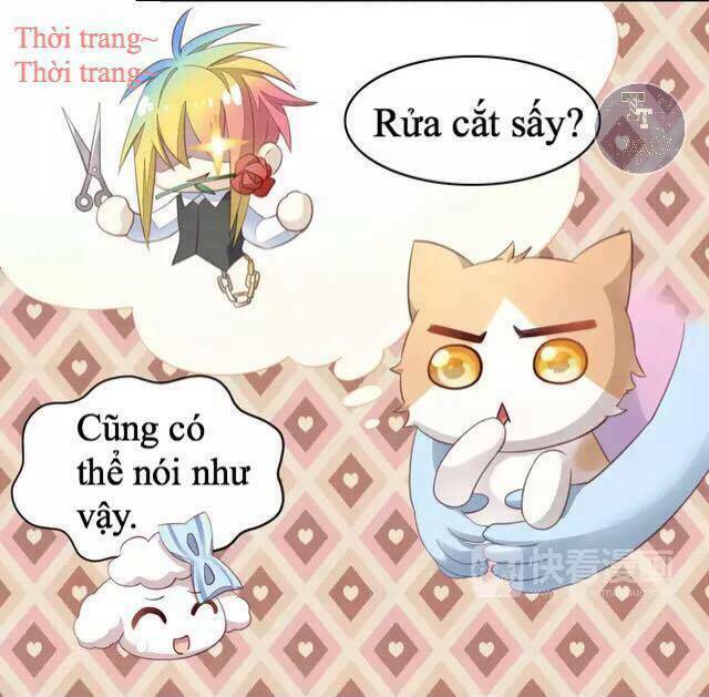 dưới móng vuốt mèo chapter 17 26