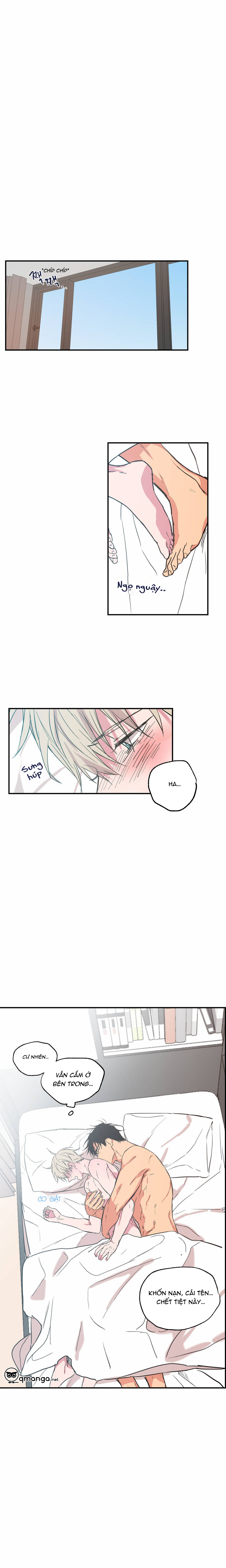 không chốn yêu đương chapter 24 11