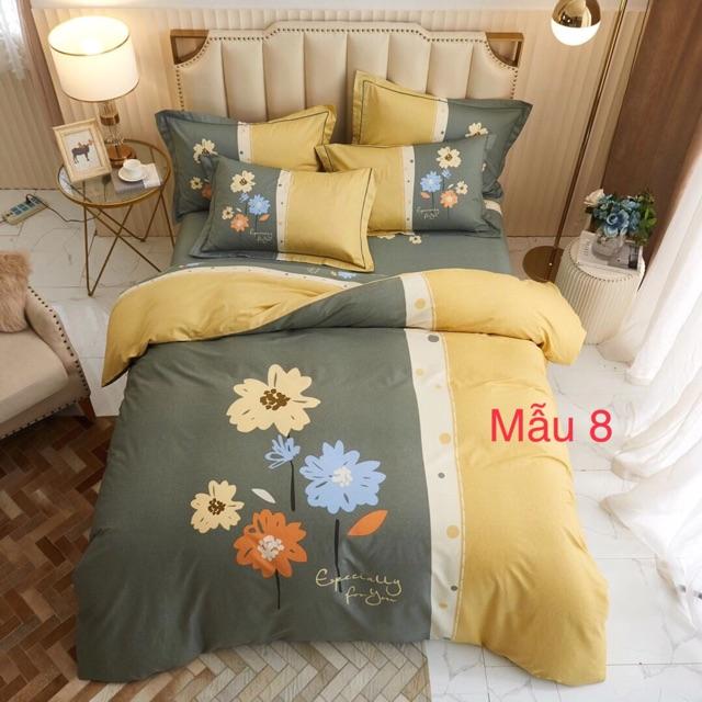 Bộ cotton oragnic 4 món màu sắc mới