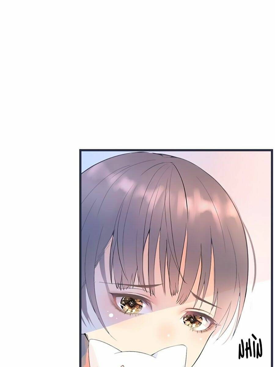 quang chi vũ chapter 2.2 17