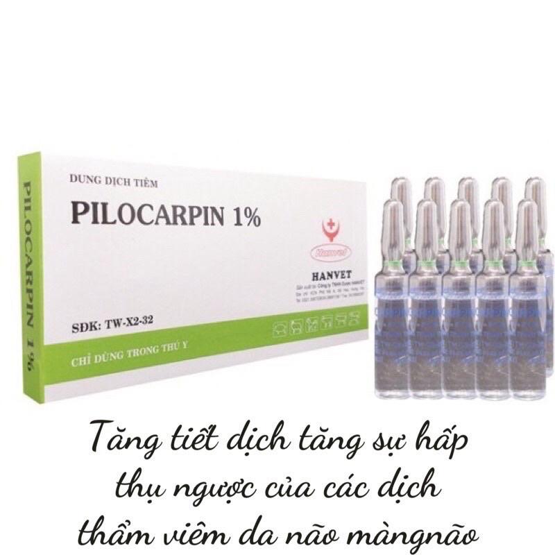 1 ống PILOCARPIN 1% giúp tăng tiết dịch dùng cho chó mèo trâu bò lợn