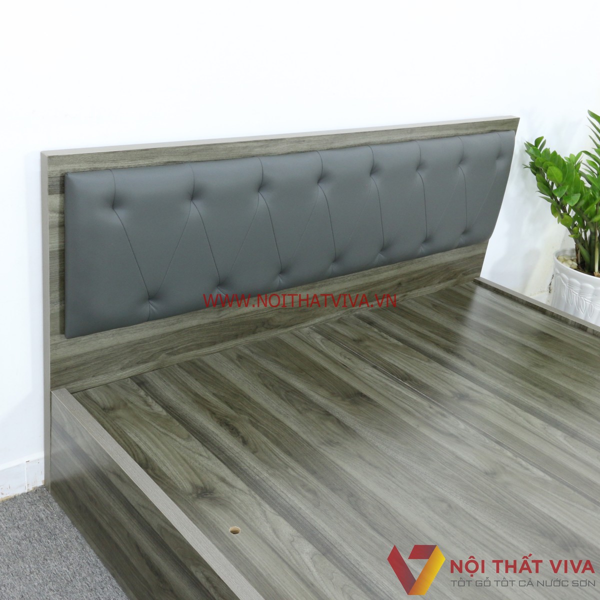 Giường Ngủ Gỗ MDF Melamine Màu Xanh Rêu Vân Gỗ Có Đầu Nệm Đen Cá Tính Đẹp