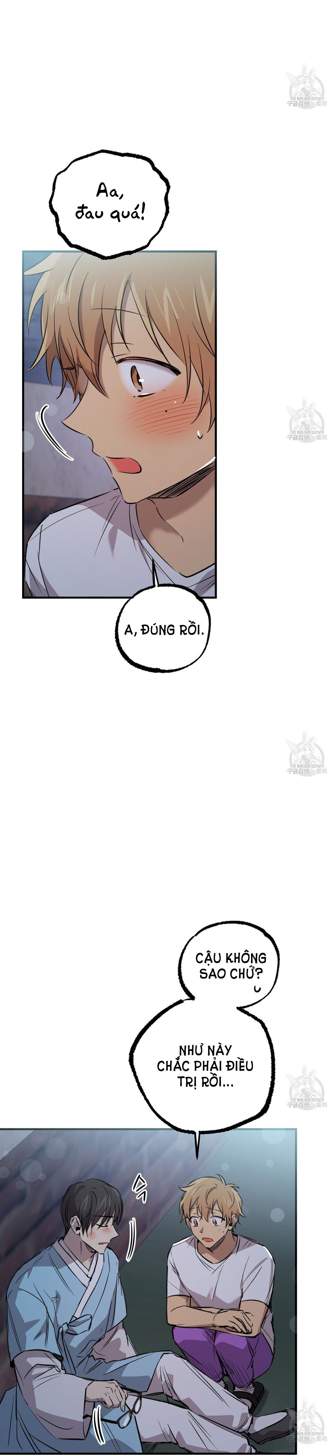 những chú thỏ của hapypy chapter 60.1 18