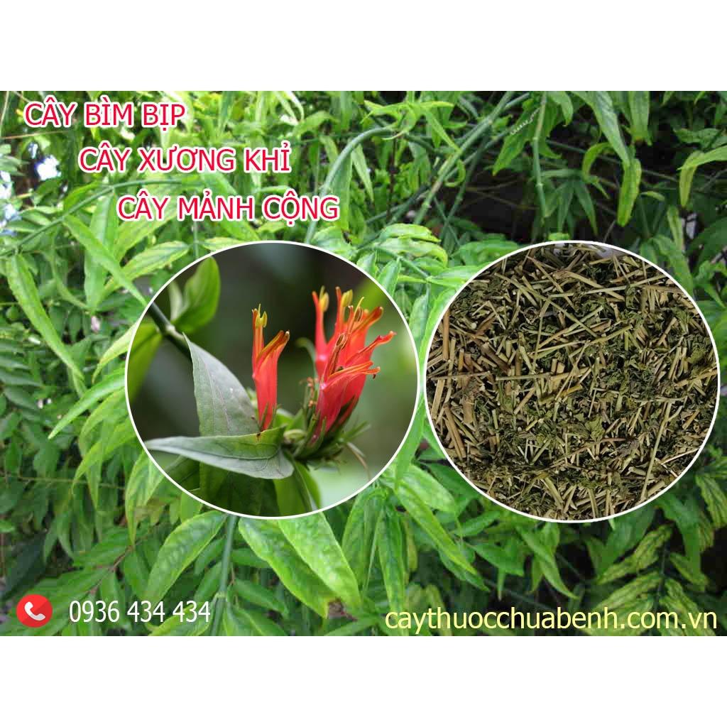Thảo dược CÂY BÌM BỊP khô sạch loại 1 - congtyduoclieuhonglan