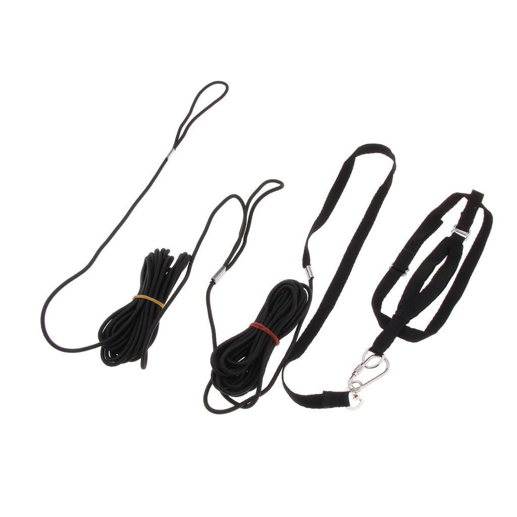 Outdoor Parrot Leash Adjustable Bird Harness For Small to Large Birds Black