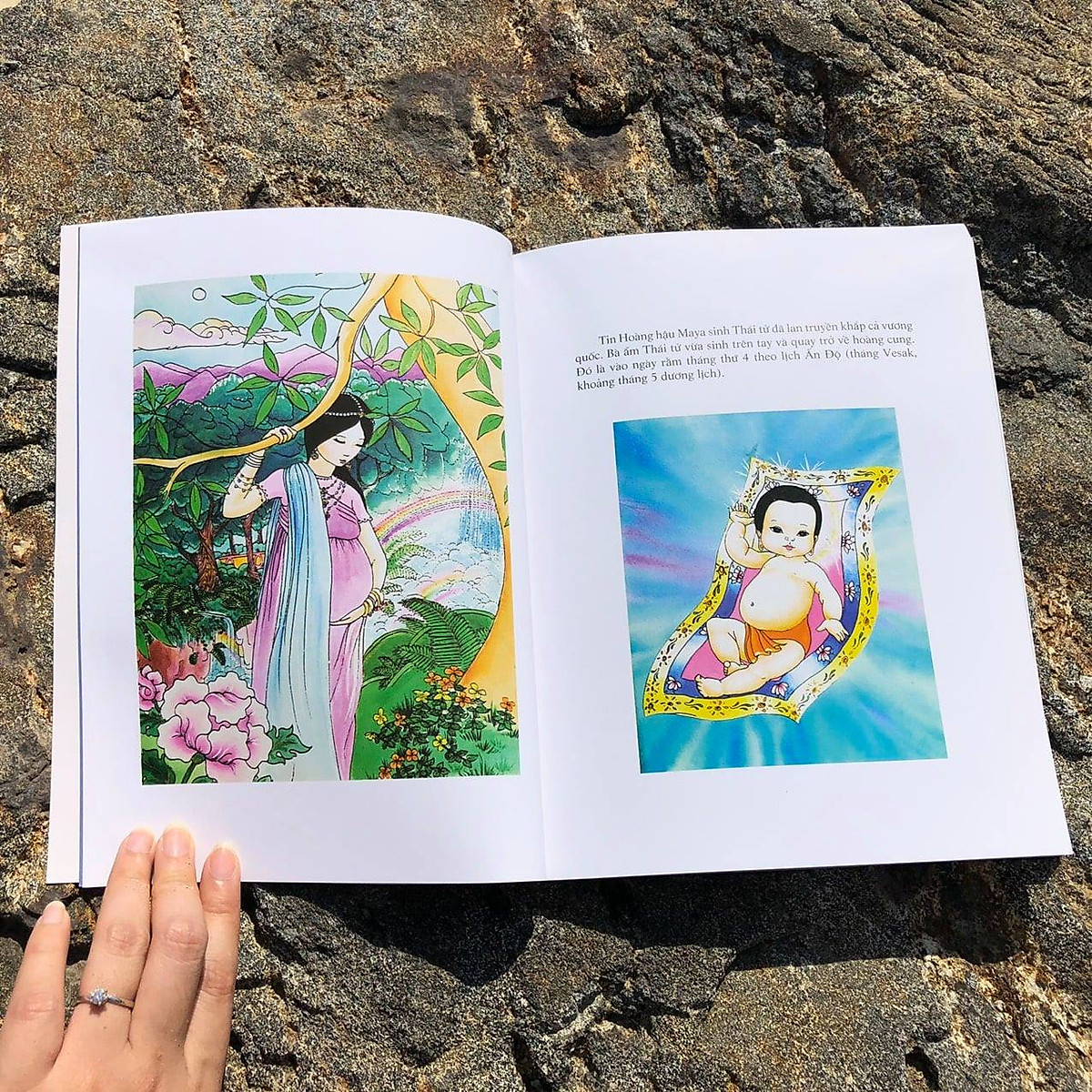 Thái Tử Siddhartha - Chuyện cuộc đời Đức Phật - CHA MẸ KỂ GÌ KHI KỂ VỀ ĐỨC PHẬT CHO CON? Tác phẩm tuyệt vời về Cuộc đời Đức Phật dành cho trẻ em với giọng văn giản dị