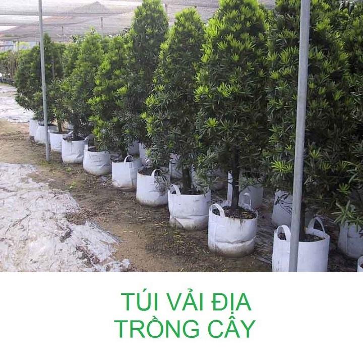 Túi Vải Trồng Cây 2 Quai Xách Kích Thước 30x25cm