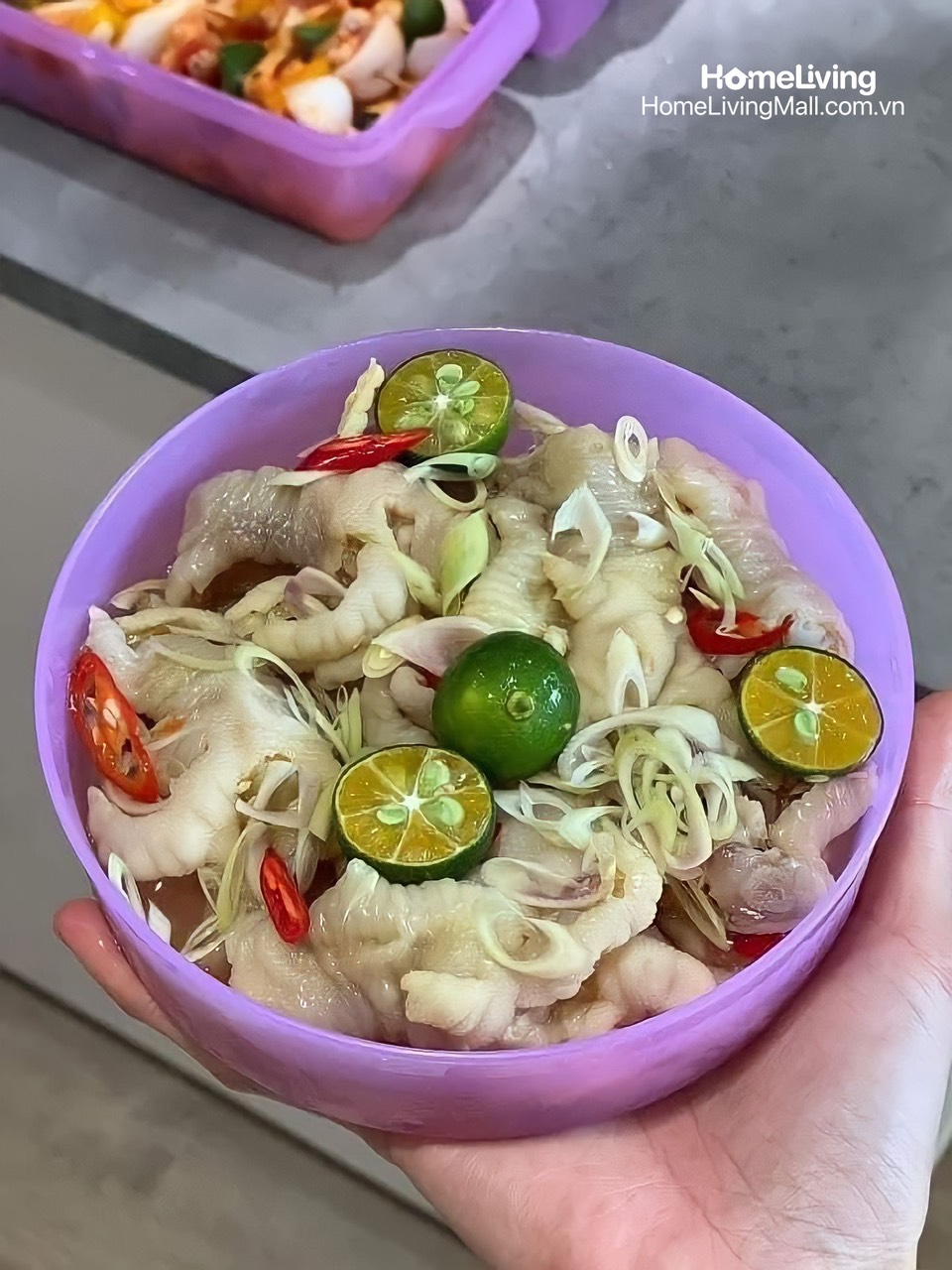 Bộ Trữ Mát & Khô Tupperware Freshia Purple Set 5