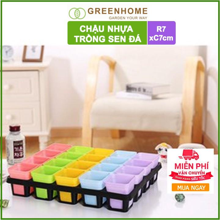 Bộ 5 Chậu nhựa trồng sen đá ,xương rồng, 7x7cm, màu sắc hiện đại