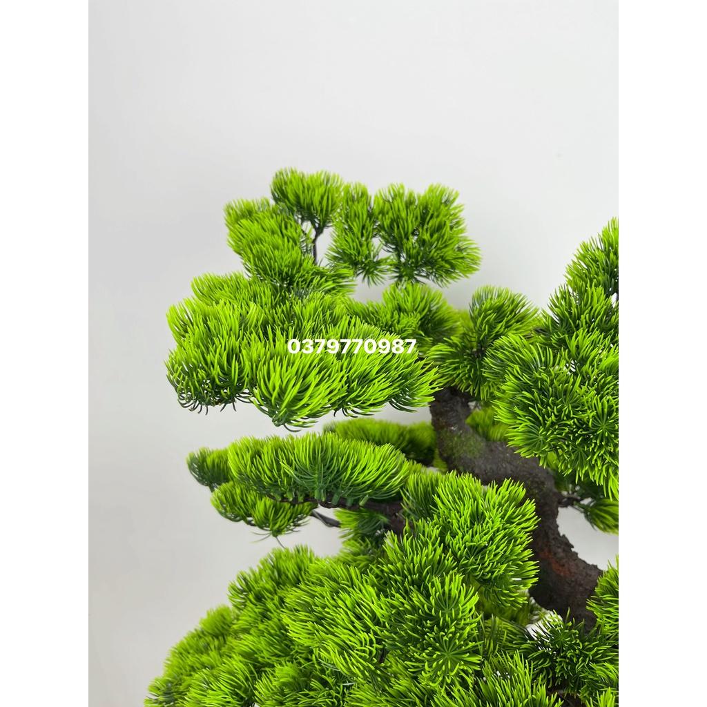 Cây Tùng Giả, Cây Bonsai giả Decor trang trí nhà cửa