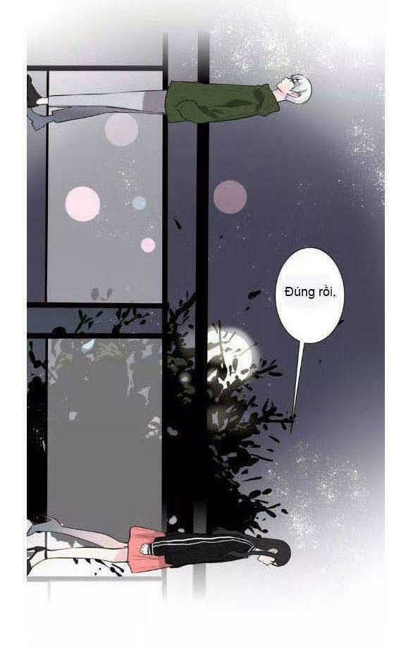 quy tắc của mỹ nam chapter 24 28