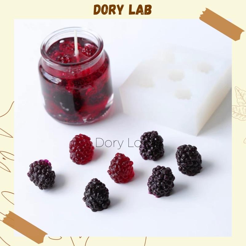 Nến Thơm Ly Quả Dâu Rừng Handmade Tinh Dầu Thiên Nhiên - Dory Lab