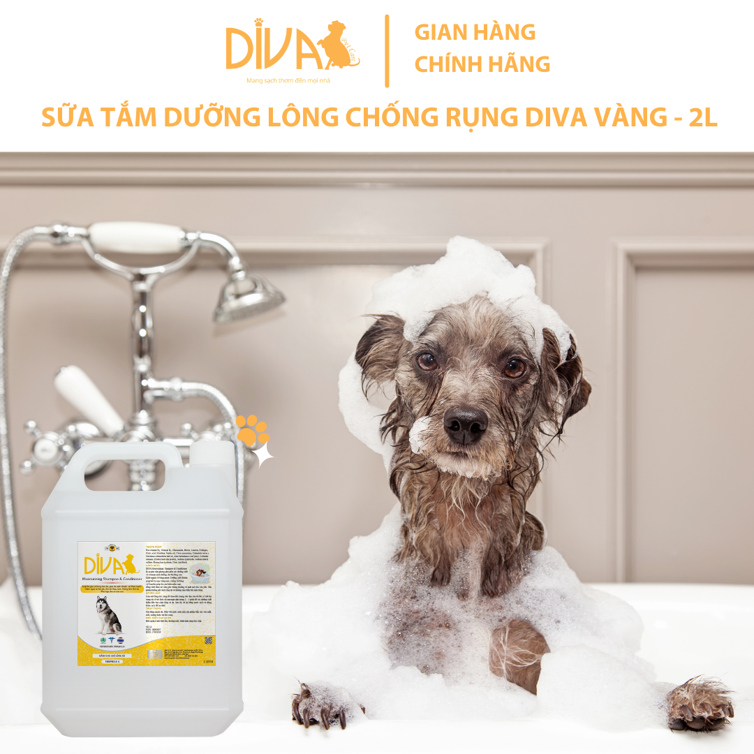 SỮA TẮM CHÓ DƯỠNG LÔNG GIẢM RỤNG DIVA VÀNG 2L