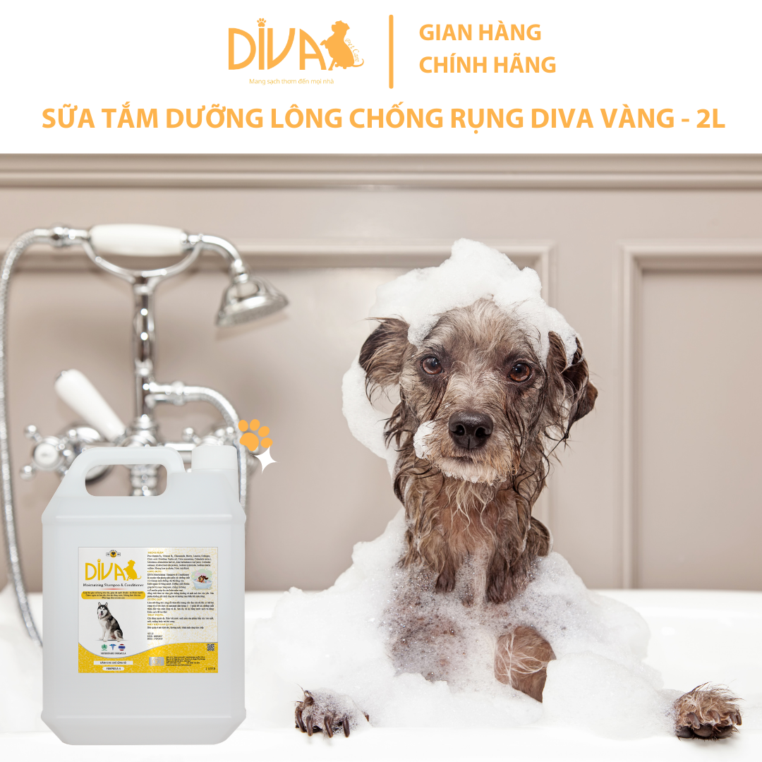 SỮA TẮM CHÓ DƯỠNG LÔNG GIẢM RỤNG DIVA VÀNG 2L (DIVA FORMULA 4)