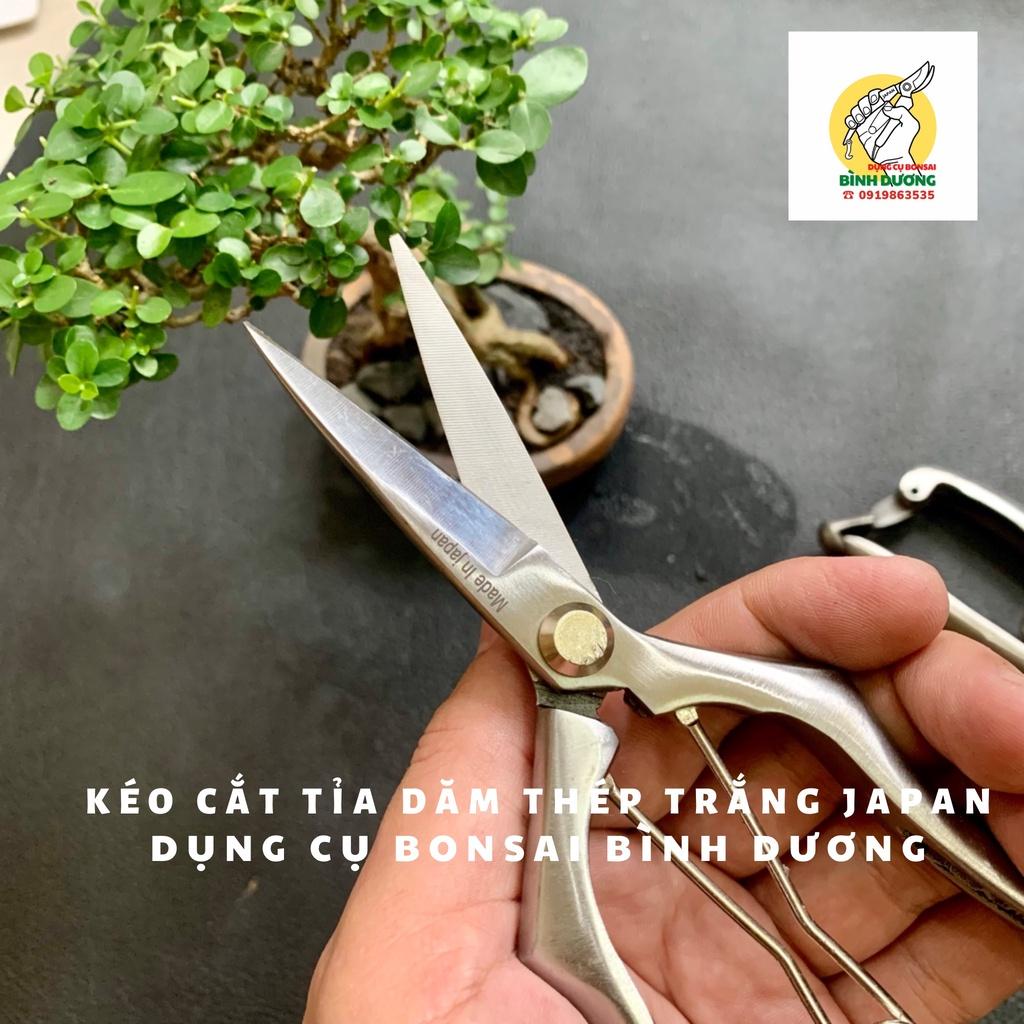 KÉO CẮT TỈA DĂM THÉP TRẮNG ĐÚC JAPAN - KÉO CẮT TỈA DĂM CÂY CẢNH BONSAI JAPAN