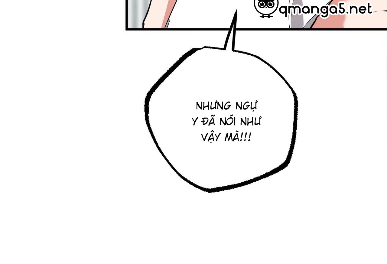 những chú thỏ của hapypy chapter 61 20