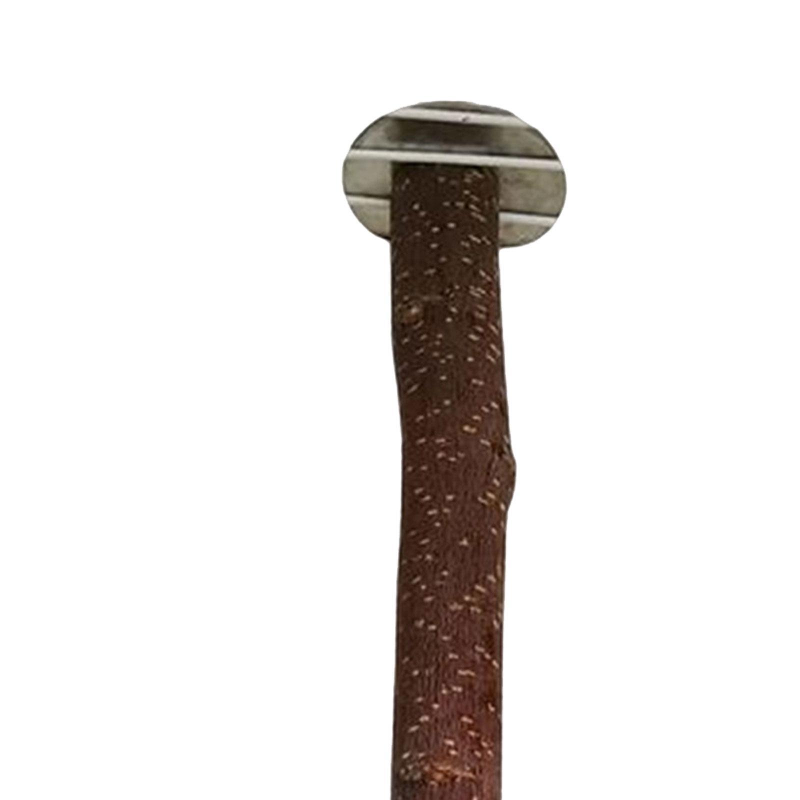 Parrot Perch Bird Stand Pole Wood Parrot Perch Stand Bird Cage Perch for Parakeet Finches Cockatiel
