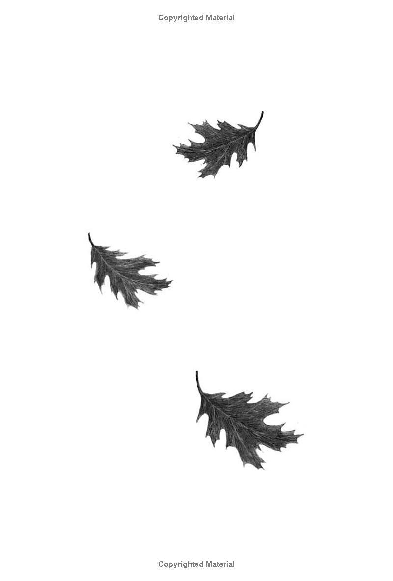 Sách ngoại văn: Wishtree