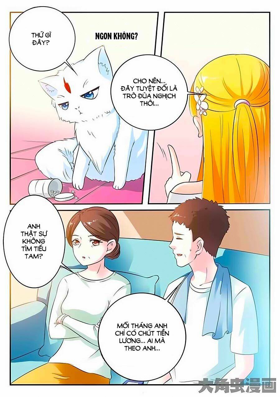 mau lấy con mèo đó ra chapter 9 5