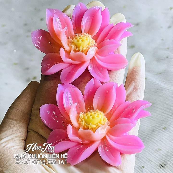 Khuôn Silicon 4d Làm Rau Câu Xôi Đậu Hoa Sen Nở