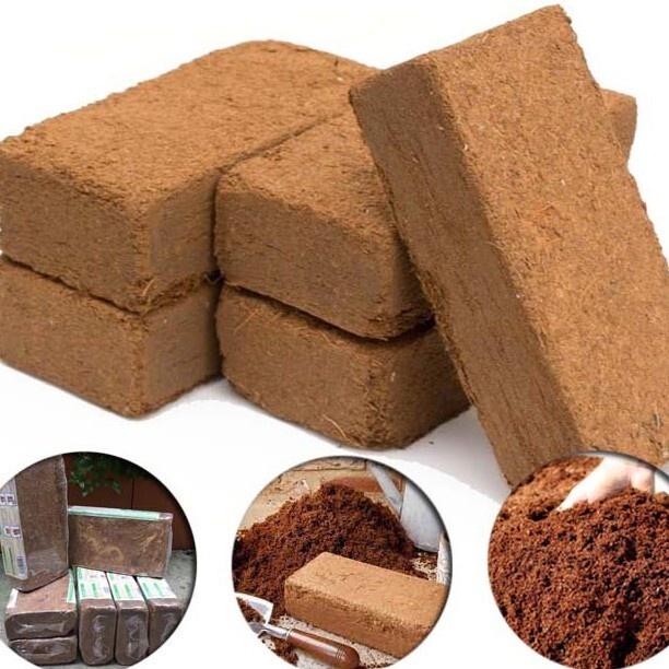Xơ dừa nén 5KG, trồng cây rau mầm