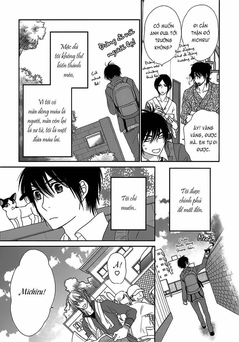 nekoka danshi no shitsukekata chapter 11 9