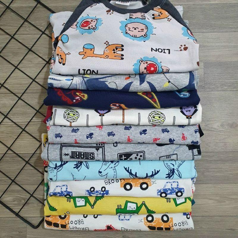 Sét 3 bộ thun borip xuất dư cho bé trai size đến 30kg.Giao ngẫu nhiên như hình đăng