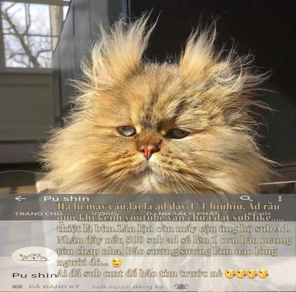 tôi là tiểu thư của gia đình này chapter 26.1 25