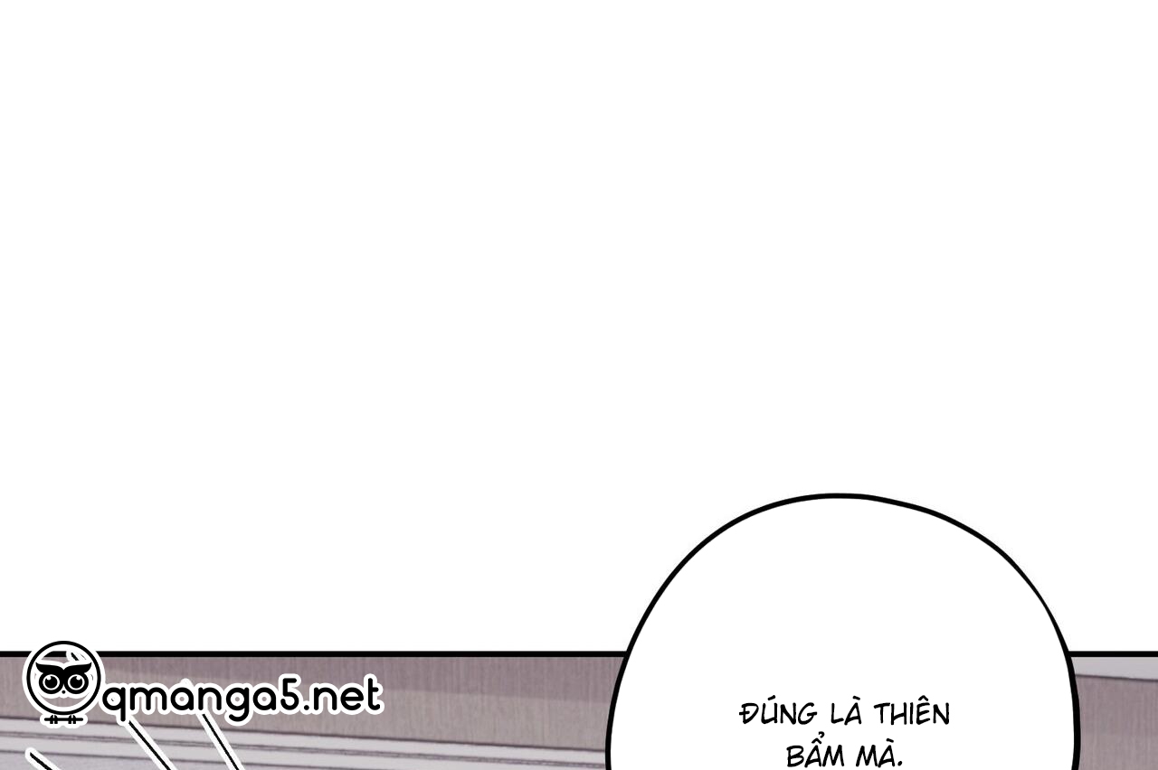 chàng dâu nhà họ kang chapter 34 146