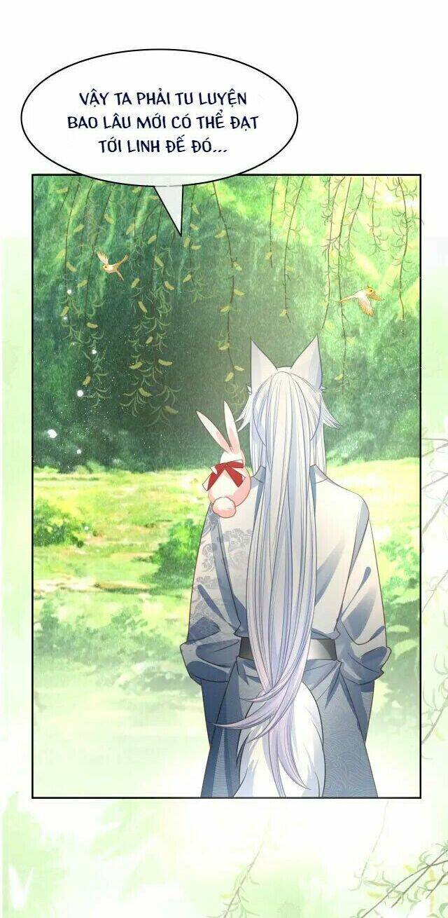 hắc hóa nam chính trực tuyến nuôi thỏ chapter 23 16