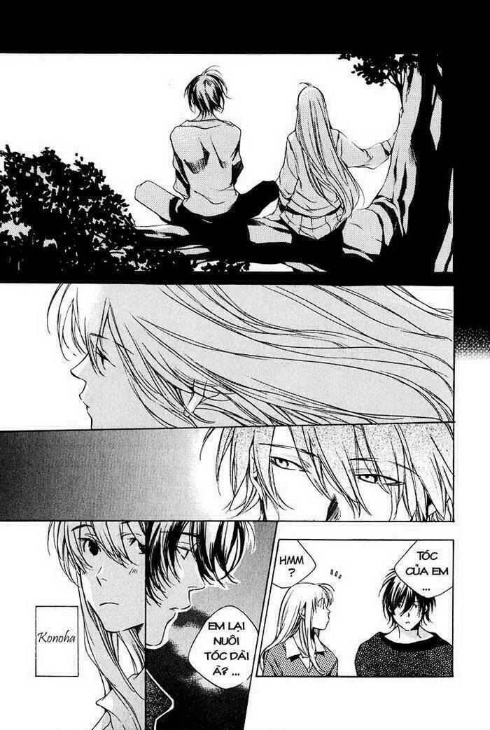 kon no ki konoha leaves of the deep blue tree chapter 1 26