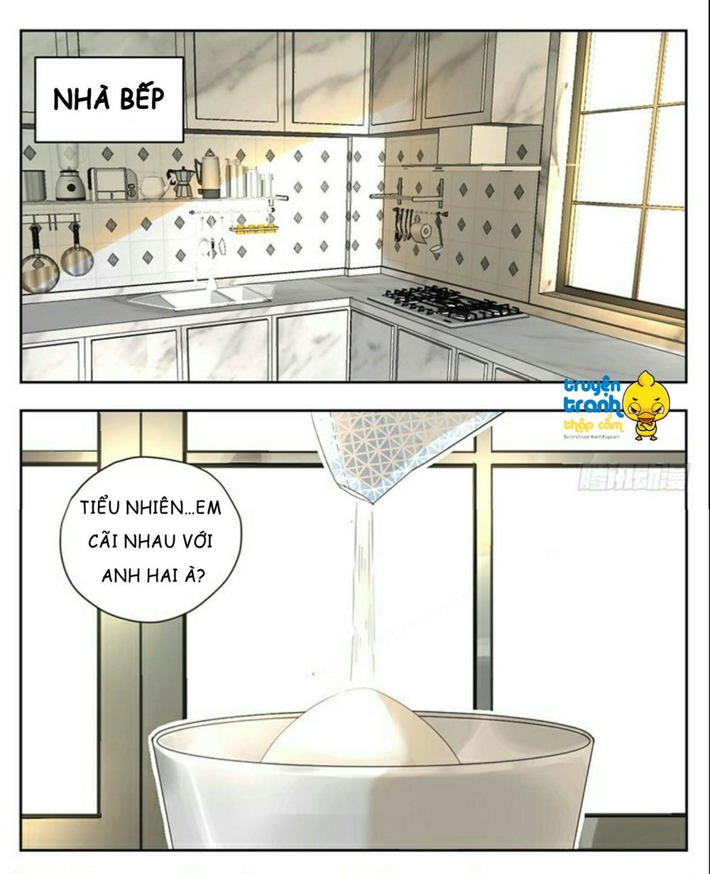 cứu mạng ! loài mèo thống trị thế giới rồi ! chapter 32 8