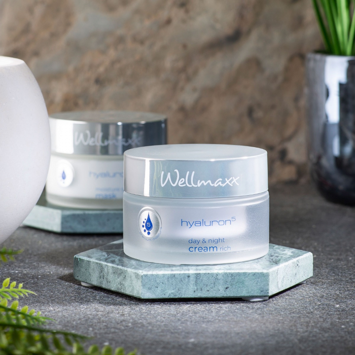 Kem dưỡng ngày đêm Wellmaxx Hyaluron Anti-Age Day & Night Absolute Creme Rich