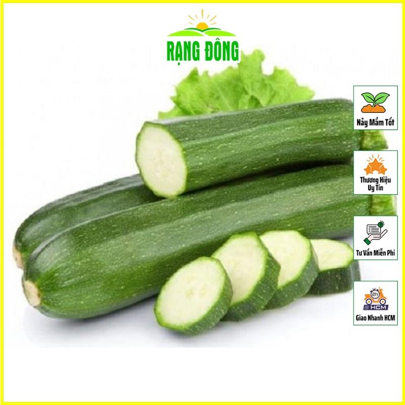 Hạt giống Bí Ngòi Xanh Dễ Chăm Sóc, Trồng Quanh Năm - Hạt Giống Rạng Đông