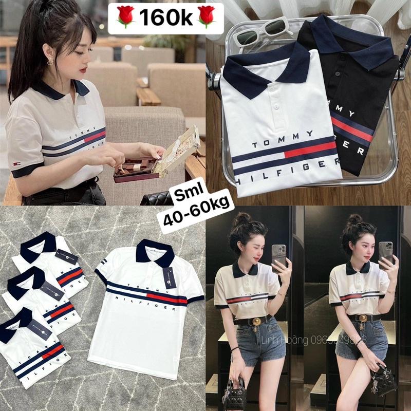 Áo polo TM phối sọc đỏ 2 màu cho nữ️Thời Trang Elisa️