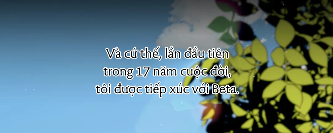 Chứng sợ Pheromone chapter 4