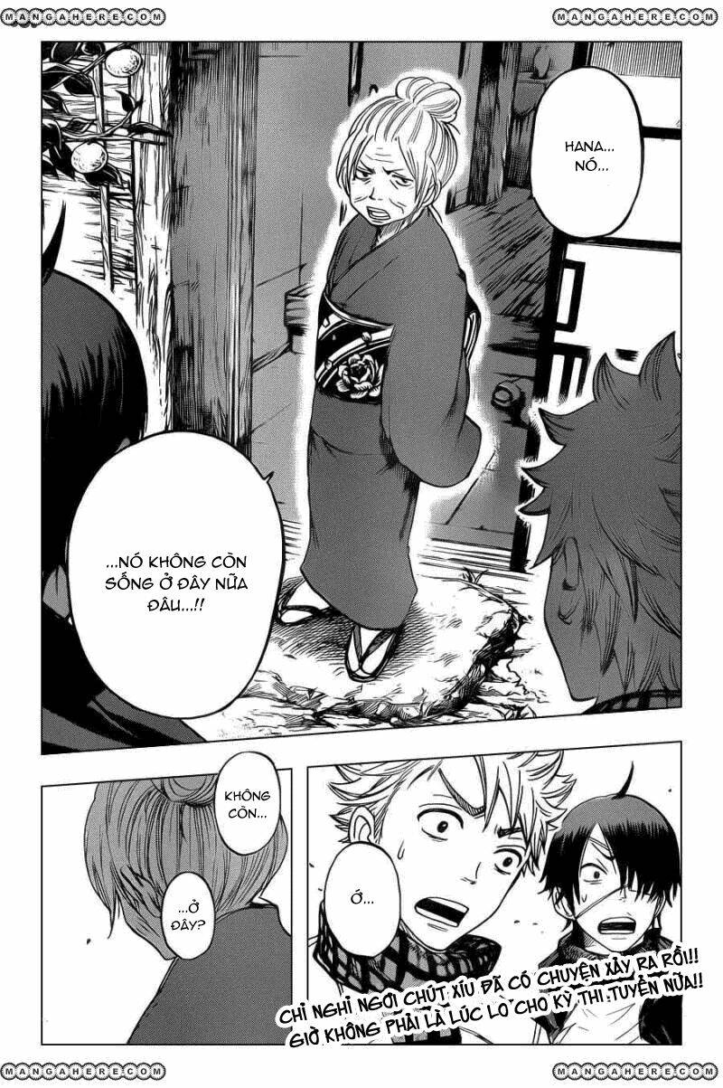 yankee-kun to megane-chan - nhóc quậy và nhỏ 4 mắt chapter 197 21