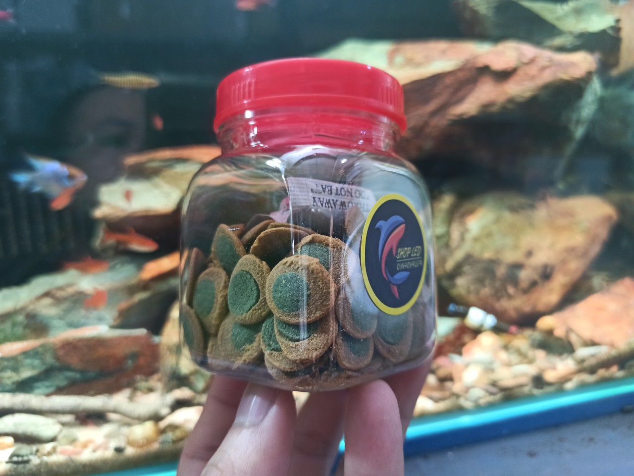 Thức Ăn Pleco Tetr@ pr0 - Thức ăn cá pleco cao cấp - cá chuột - pleco - cá tầng đáy-shopleo