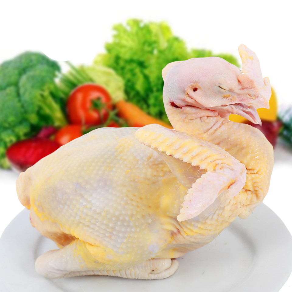 Gà Ta Bến Tre Thả Vườn Bao Ngon Nguyên Con Từ 1kg Đến 1,2kg trở lên dai và ngọt từng xớ thịt của loại gà nuôi gia đình miền thôn quê