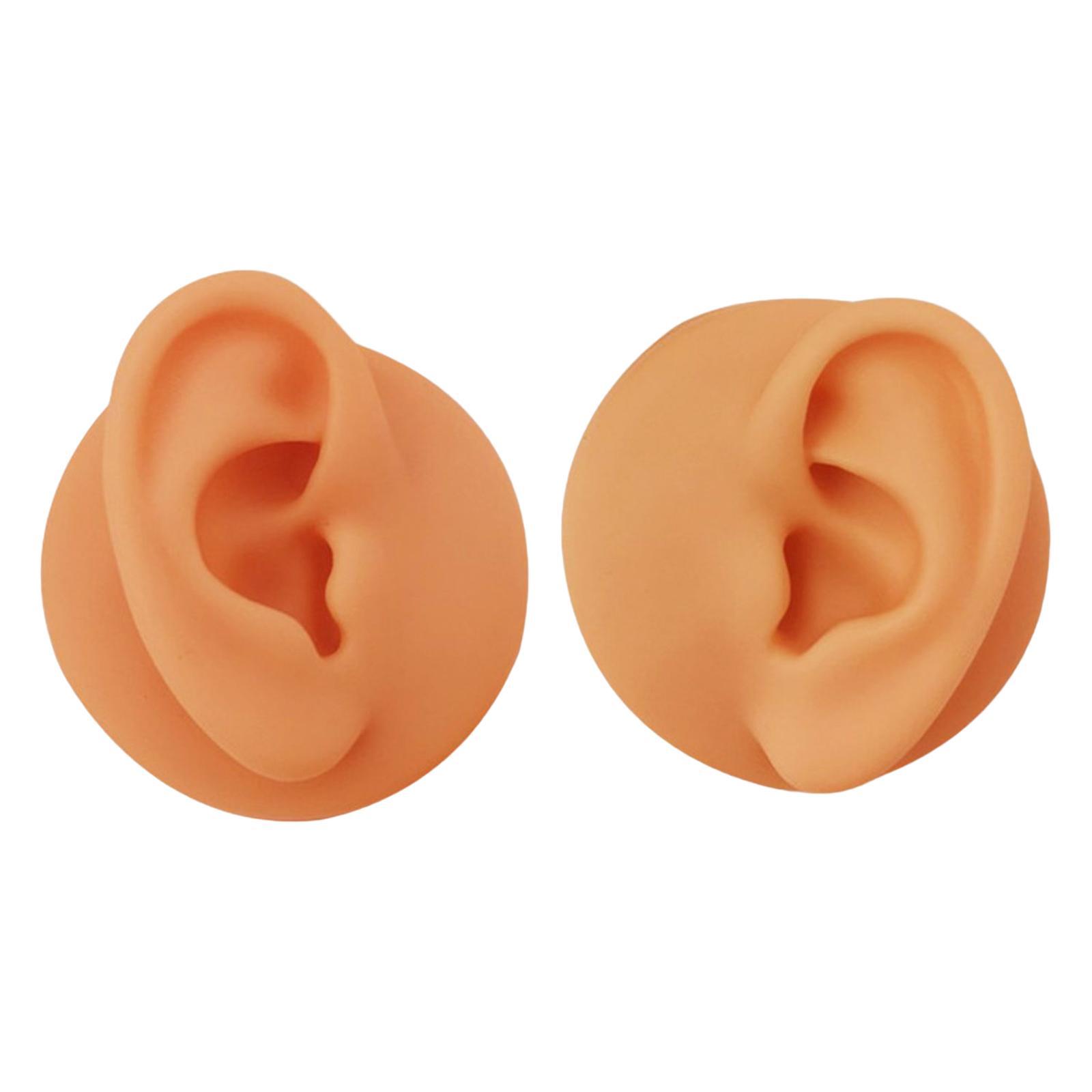 Soft Silicone Ear Model Simulated Ear Models Rubber Washable for Shop Brown