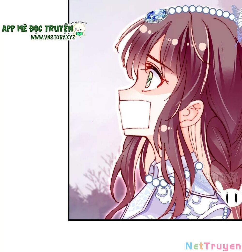 lại bị bệnh chiều chuộng quấn lấy chapter 60 8