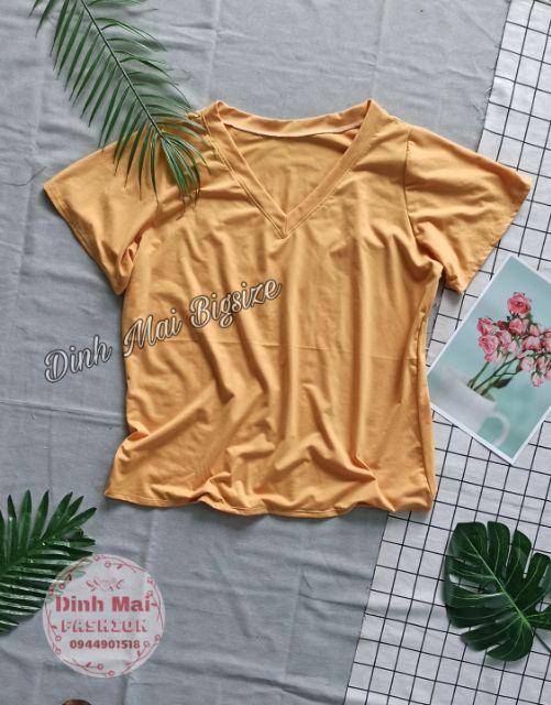 Áo cổ tim bigsize form thường bảng màu siu ngọt
