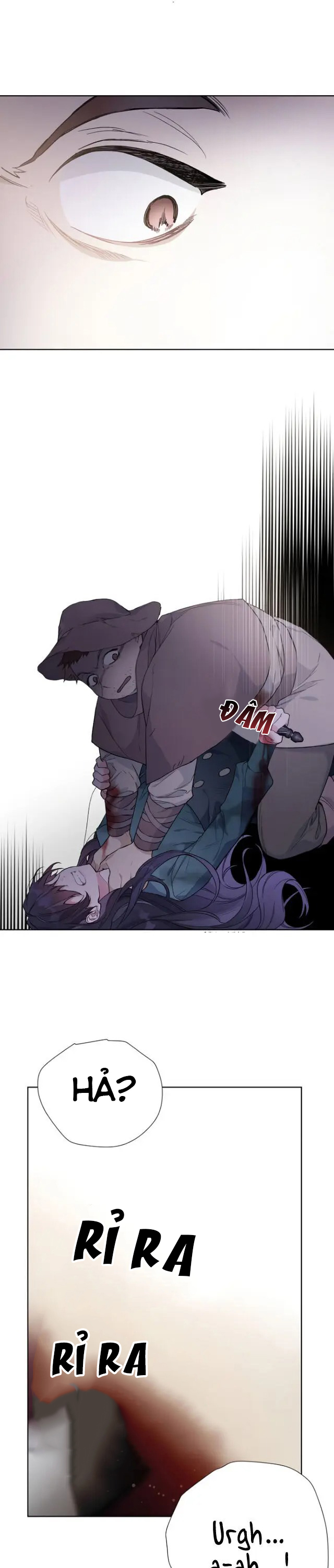 cách hiệp sĩ sống như một tiểu thư chapter 9 8