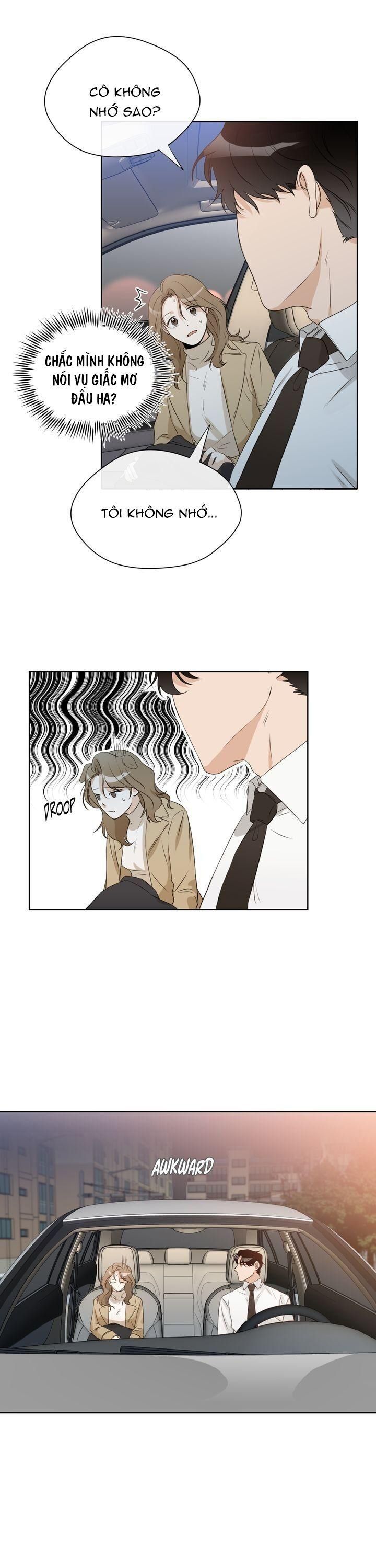 giấc mơ ngọt ngào chapter 13 19